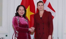 Il Vietnam ottiene il sostegno dei Paesi scandinavi per la transizione economica verde