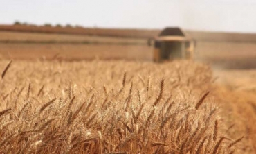 Ripercussioni della guerra in Ucraina sulle materie prime agroalimentari