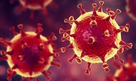 Caratteristiche, origini ed effetti del nuovo Coronavirus