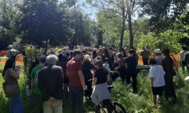 Roma, tra Proclami Green e Motoseghe: Il Paradosso di Pietralata e il Tramonto del Verde Pubblico